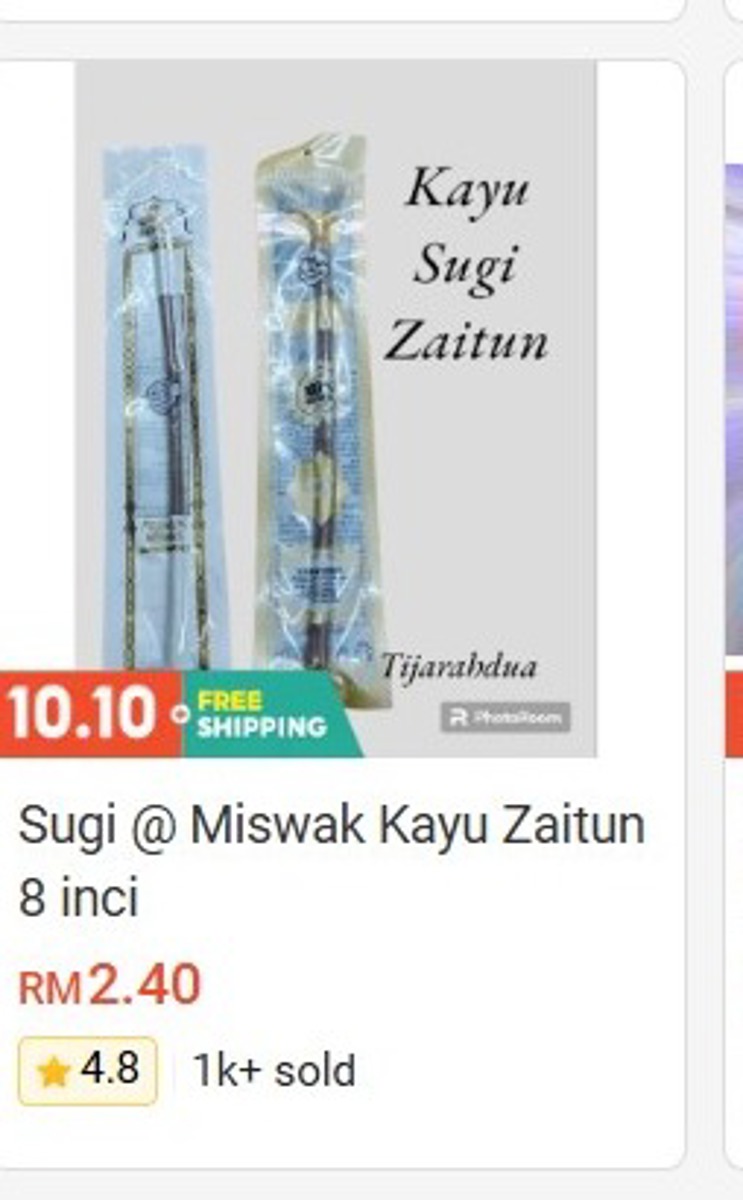 Sugi / Miswak Olive Wood (Kayu Zaitun) 8 Inch